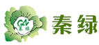 秦綠
